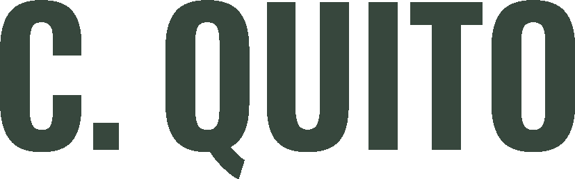 c.quito_Belgium-warmblood-stallion_logo